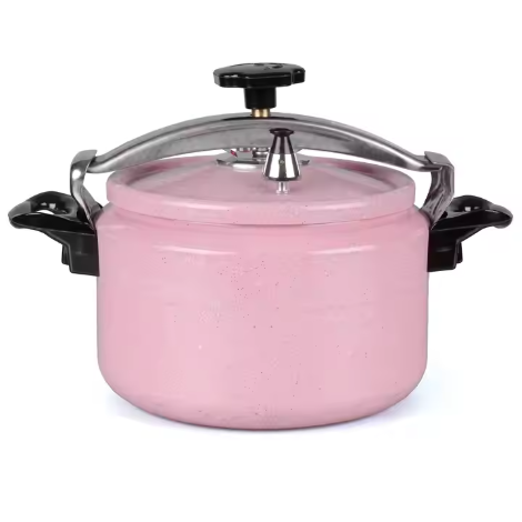 Fashion stainless steel pressure cooker 20l